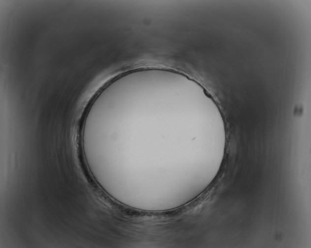 X0000102490103200808081105