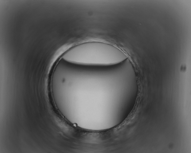 X0000102490104200808081105