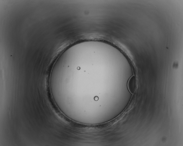 X0000102490105200808081105