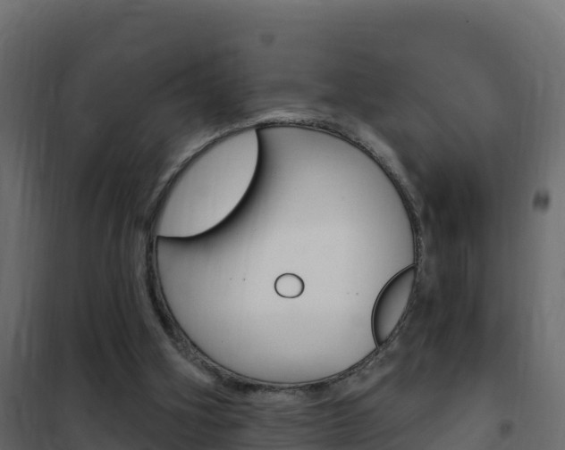 X0000102490106200808081105