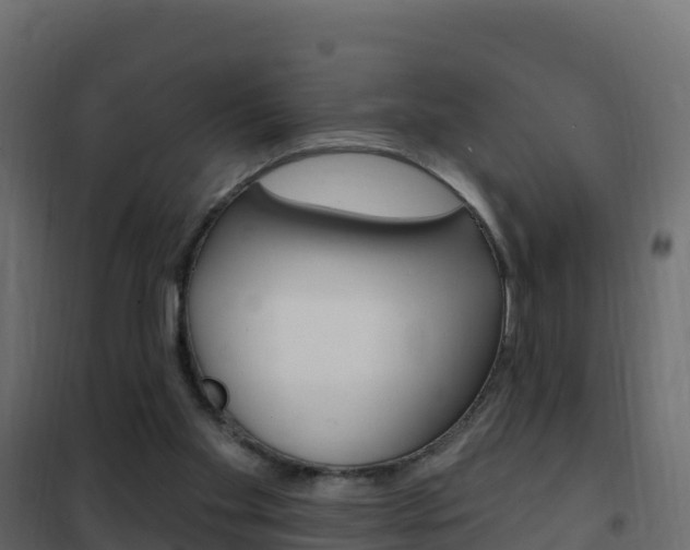 X0000102490109200808081105