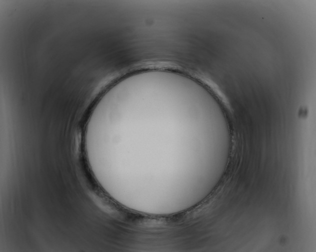 X0000102490110200808081105