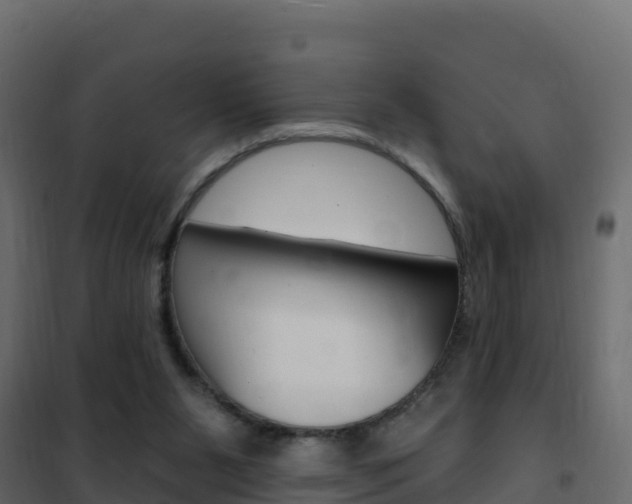 X0000102490111200808081105