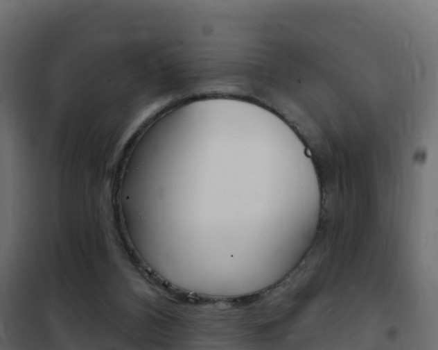 X0000102490112200808081105