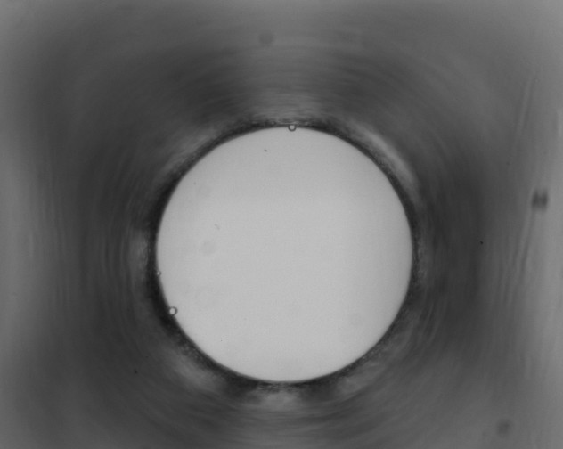 X0000102490113200808081105