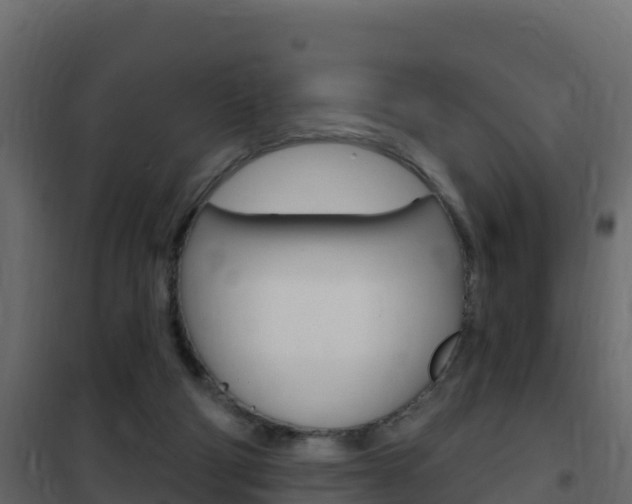 X0000102490114200808081105