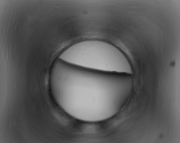 X0000102490115200808081105