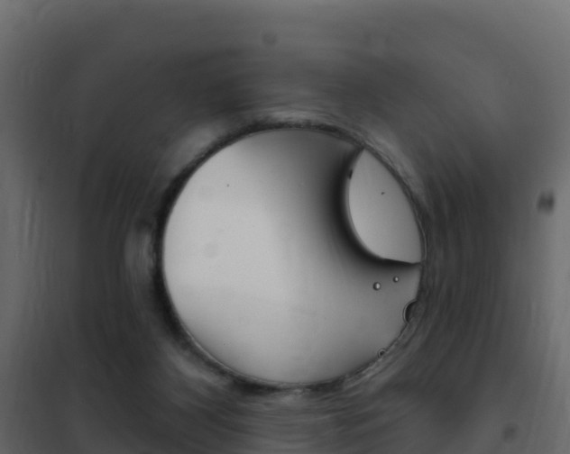 X0000102490116200808081105