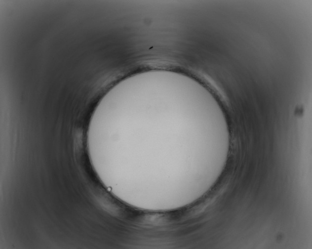 X0000102490117200808081105