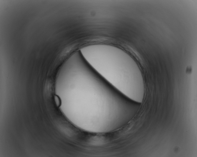 X0000102490119200808081105