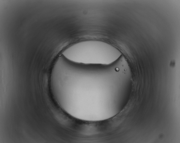 X0000102490120200808081105