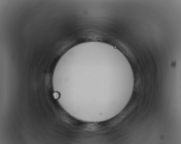 X0000102490121200808081105