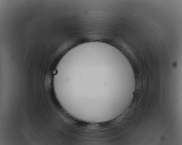 X0000102490124200808081105