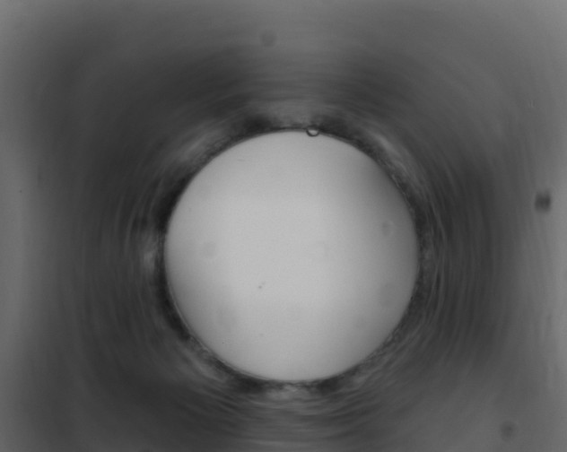 X0000102490125200808081105