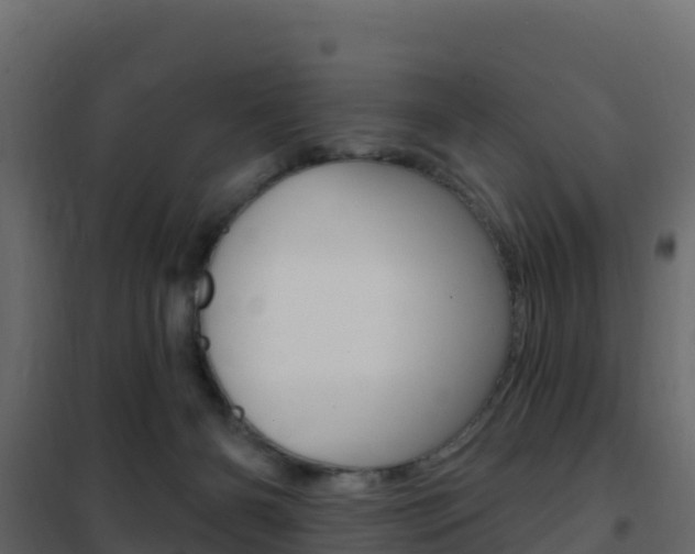 X0000102490126200808081105