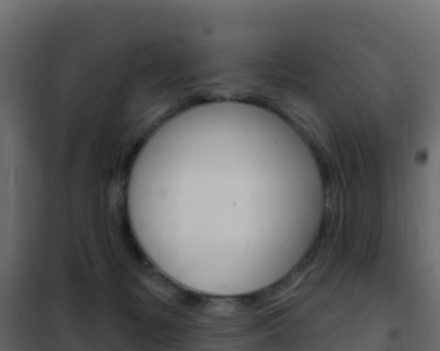 X0000102490127200808081105