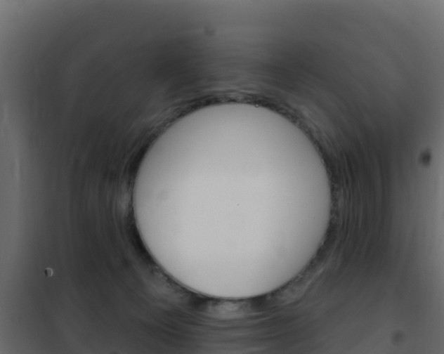 X0000102490129200808081105