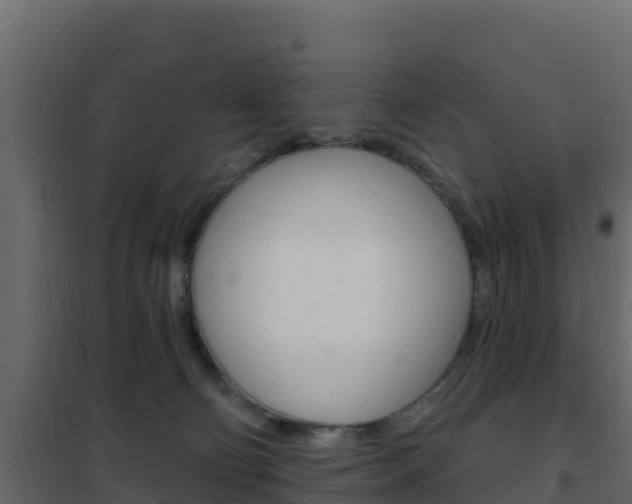 X0000102490130200808081105