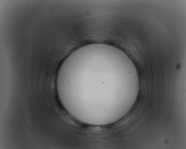 X0000102490131200808081105