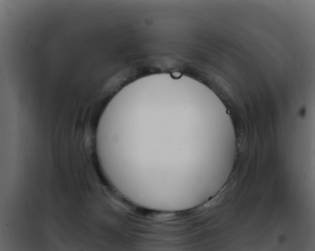 X0000102490132200808081105