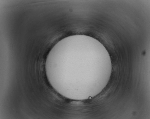 X0000102490133200808081105