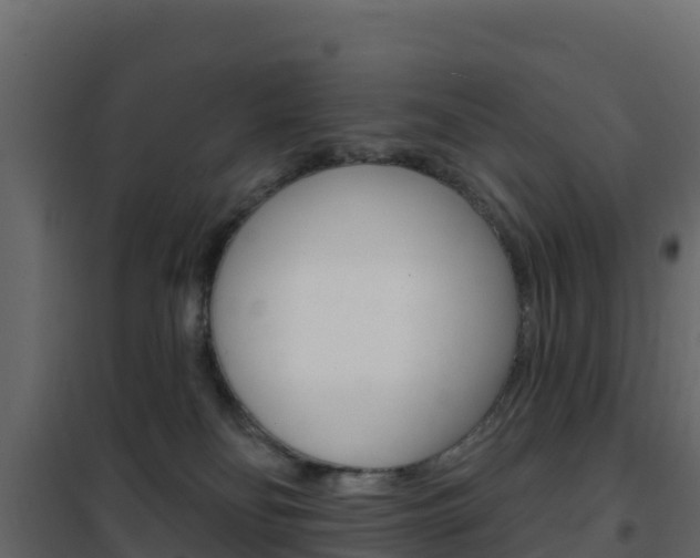 X0000102490134200808081105