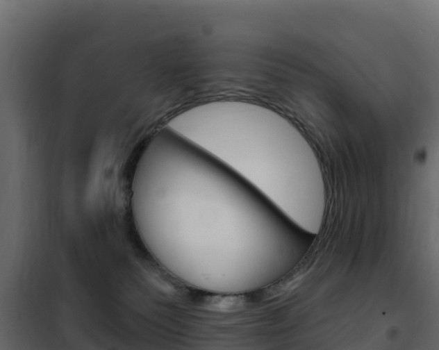 X0000102490135200808081105