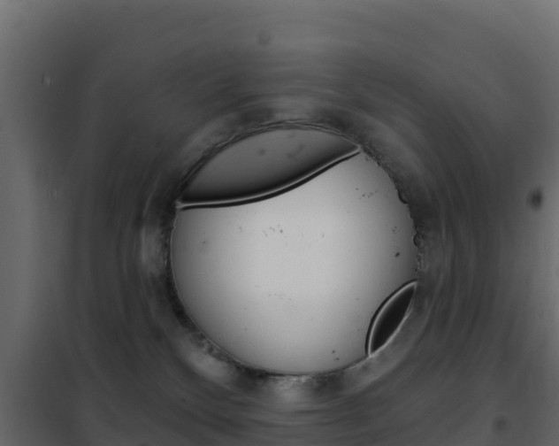 X0000102490136200808081105