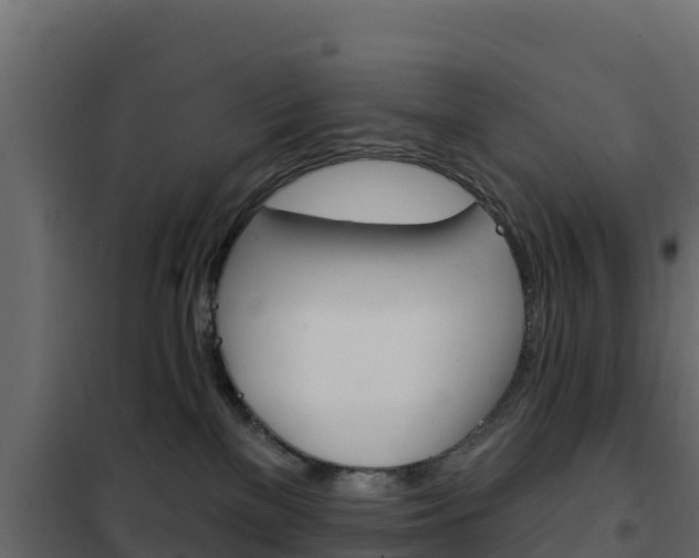 X0000102490137200808081105