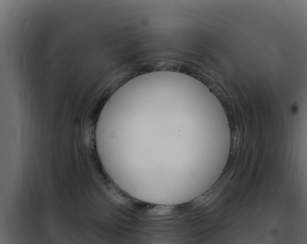 X0000102490138200808081105