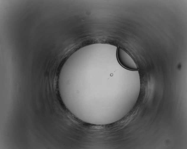 X0000102490139200808081105