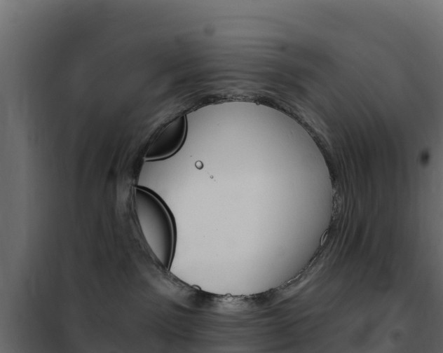 X0000102490141200808081105