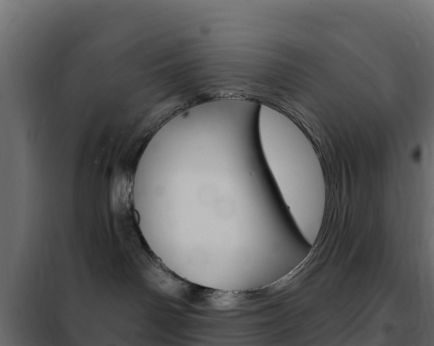 X0000102490142200808081105