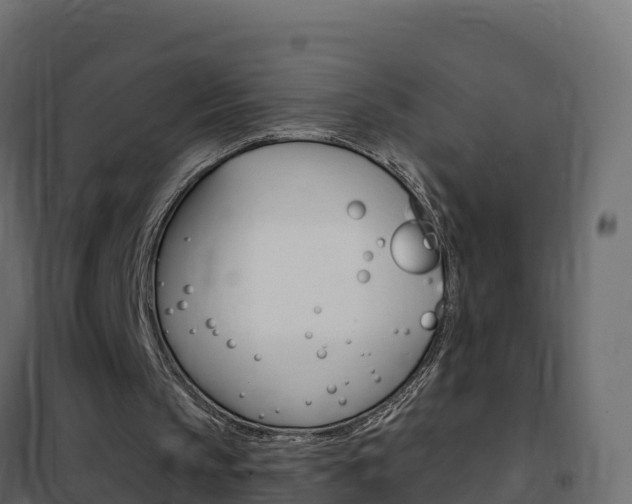 X0000102490145200808081104