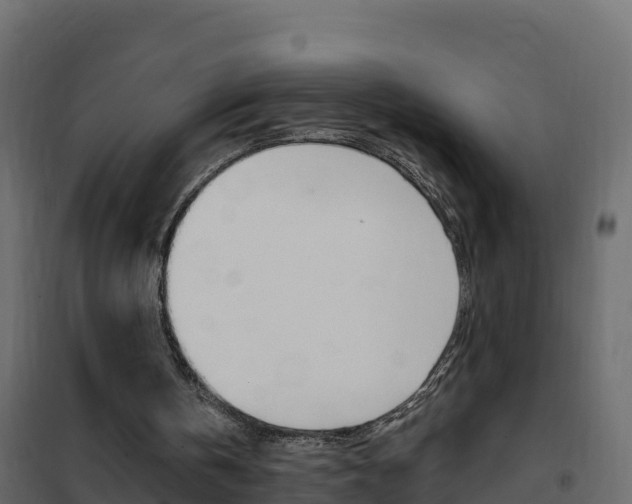 X0000102490146200808081104