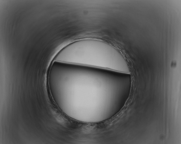 X0000102490148200808081104