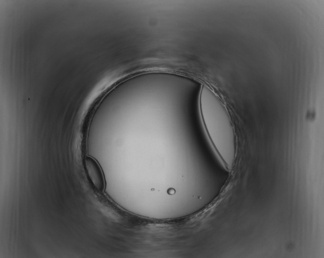 X0000102490150200808081104