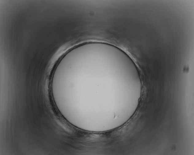 X0000102490151200808081104
