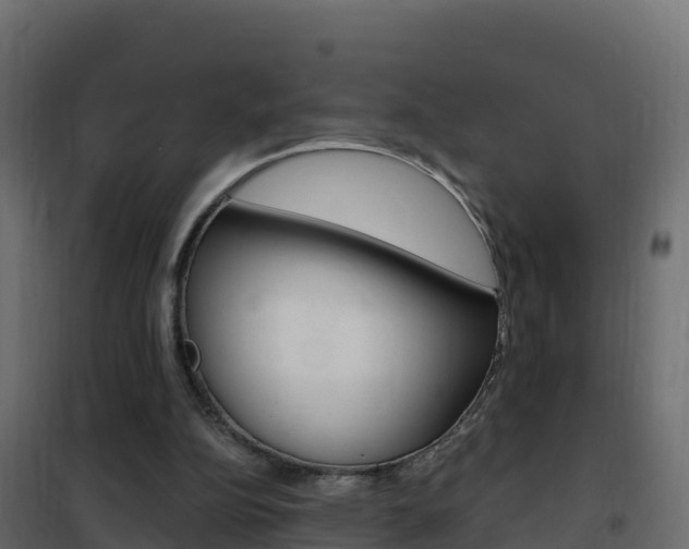 X0000102490152200808081104