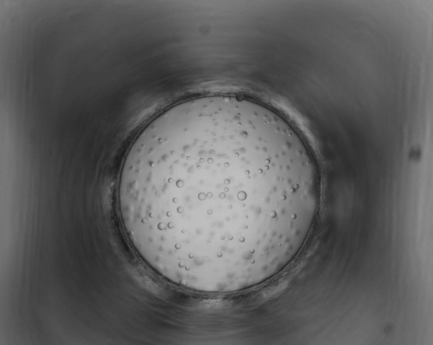 X0000102490153200808081104