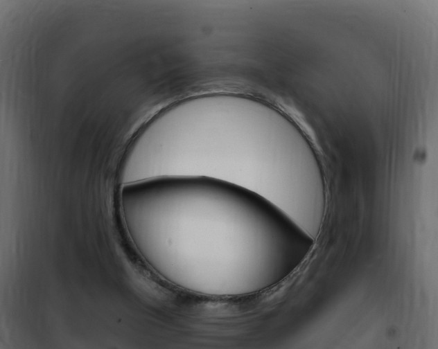 X0000102490154200808081104
