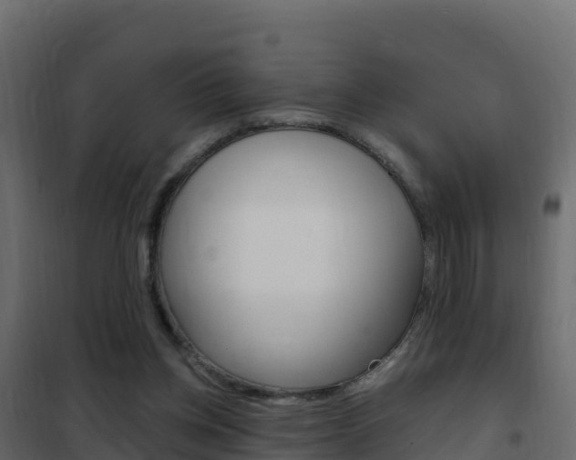 X0000102490158200808081104