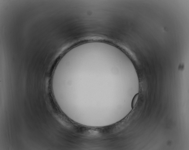 X0000102490159200808081104