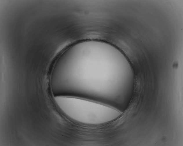 X0000102490160200808081104