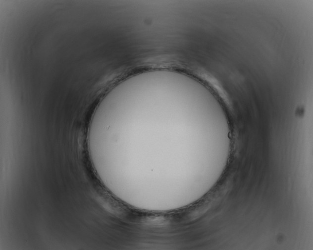 X0000102490161200808081104