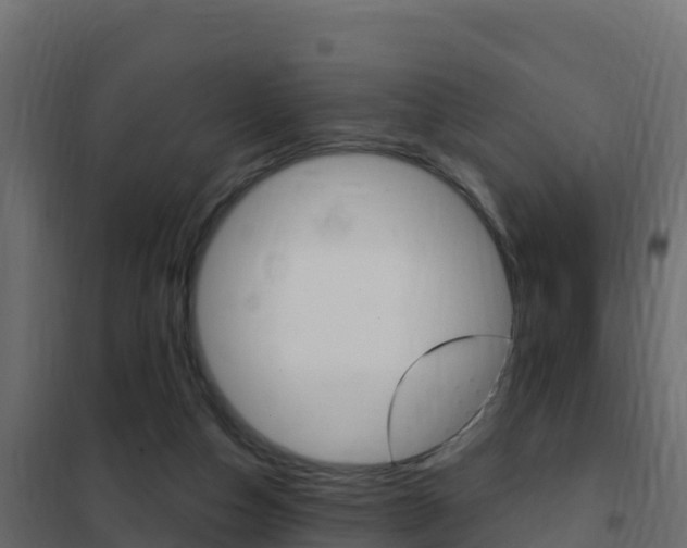 X0000102490162200808081104