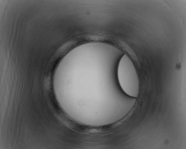X0000102490163200808081104