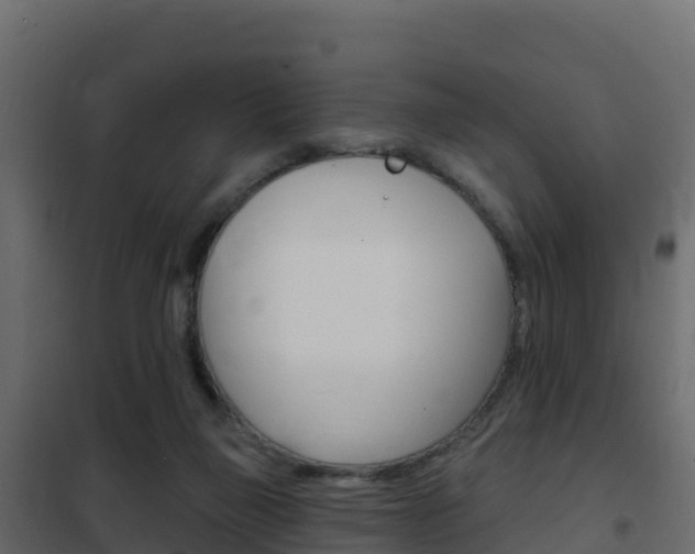 X0000102490165200808081104