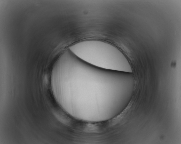 X0000102490166200808081104