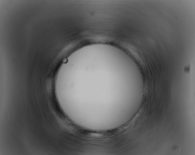 X0000102490167200808081104